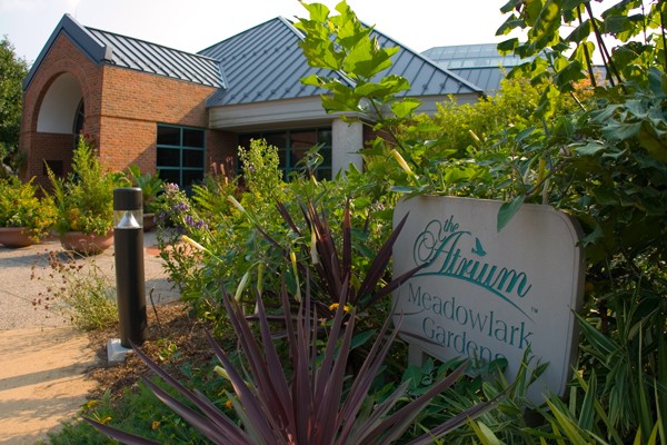 Wedding Ceremony and Reception Photo